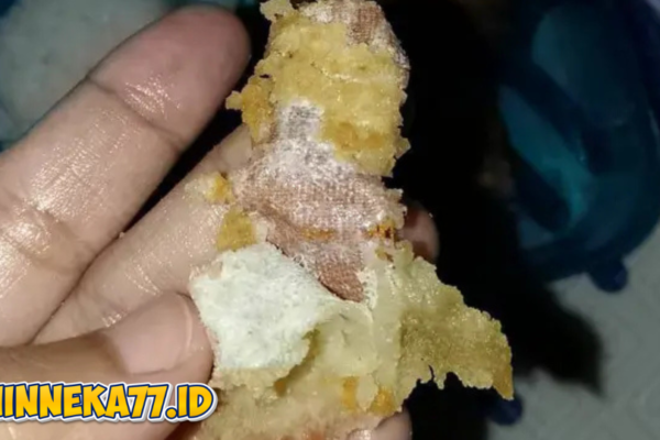 Viral Tahu Goreng Menu MBG di Sukabumi Ditemukan Plester Bekas, Pihak Dapur Minta Maaf dan Lakukan Evaluasi